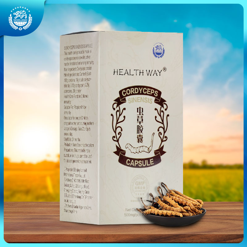 Cordyceps Sinensis Capsules